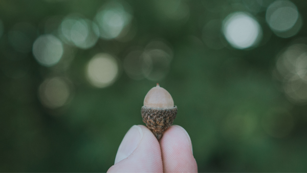 4 Different Ways to Explore a SPH Kink Safely & Confidently