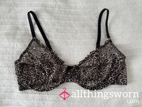 (1) Available. Extremely Worn Leopard Print Mesh Bra. Extra Days $5/each.