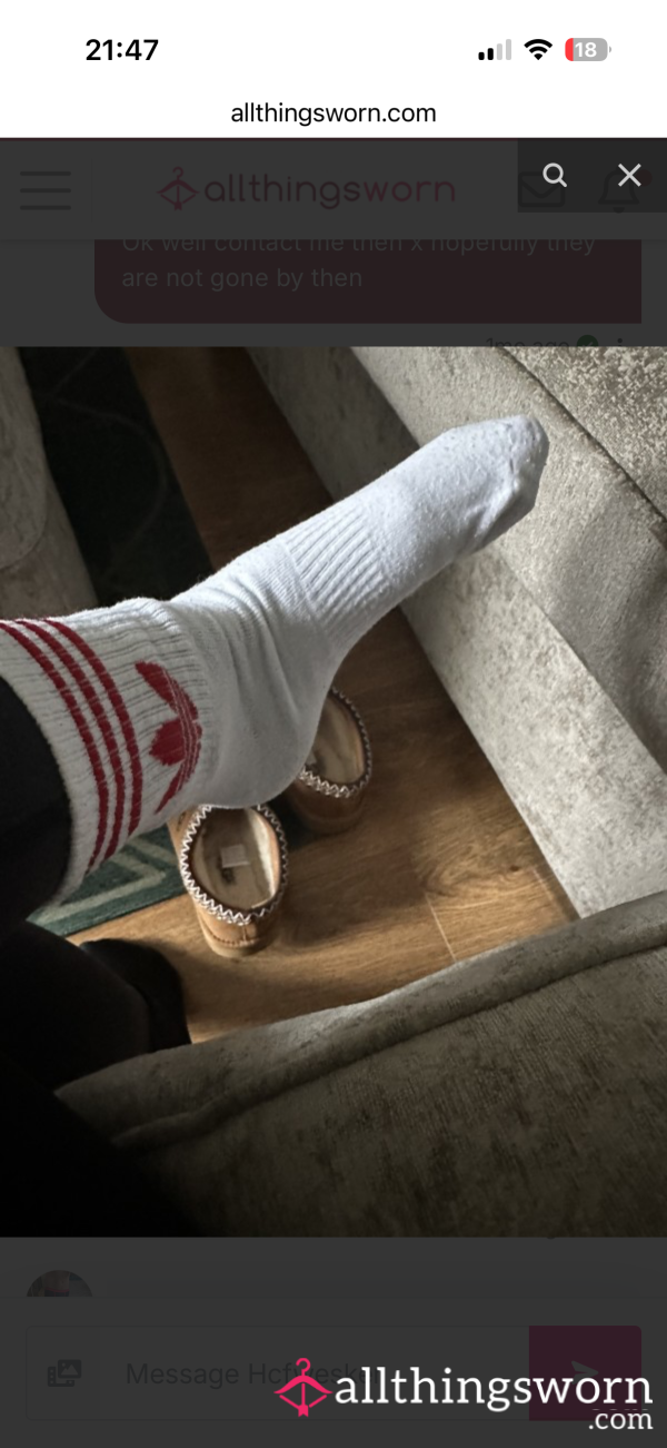 1 Day Wear Socks