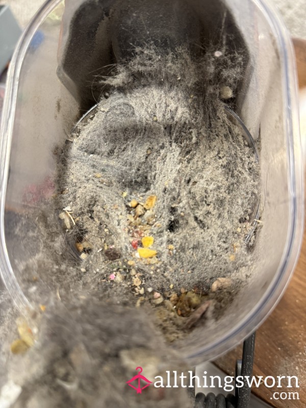 1 Week Of Vacuum Contents