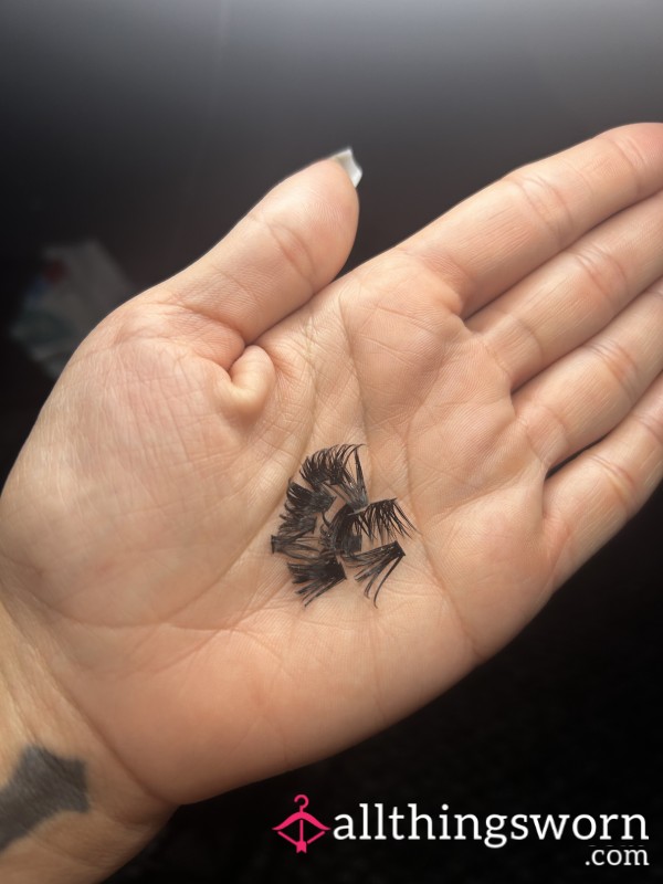 1 Week Old Eyelashes