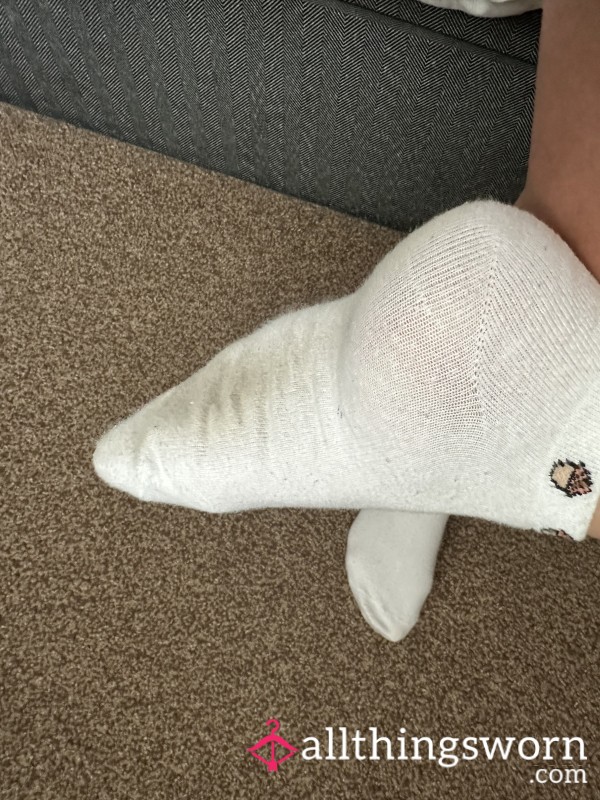 1 Week Old Socks