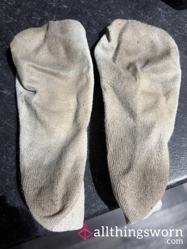 1 Week Sock Wear - No Reserve Price