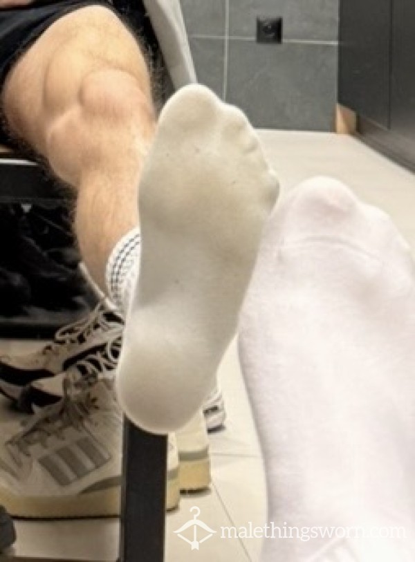 1 Week Sock