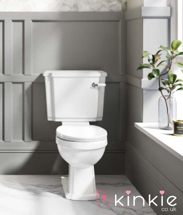 1 Week Toilet Picture Diary