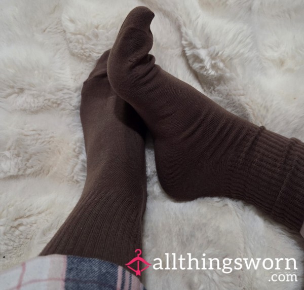 $10 Dark Brown Cotton Crew Socks
