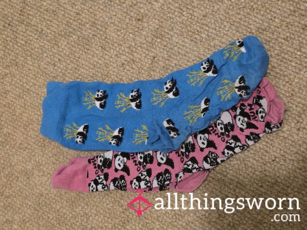 10-day Winter Hiking Socks—trail Tested, Wet, Sweaty, Pungent Socks That Have Seen Many River Crossings