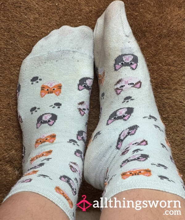 10 Day Worn Cat Print Socks