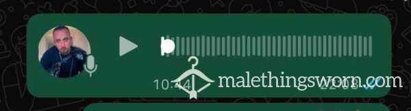 🎤 10 Min+ Custom Humiliation Voice Note! 🎤