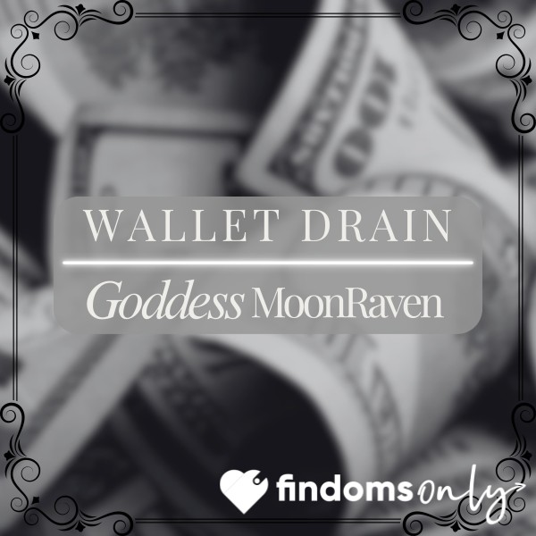 $100 Wallet Drain