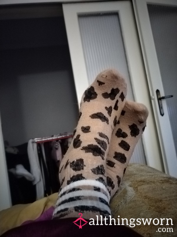 12 Hour Worn Sweaty Animal Print