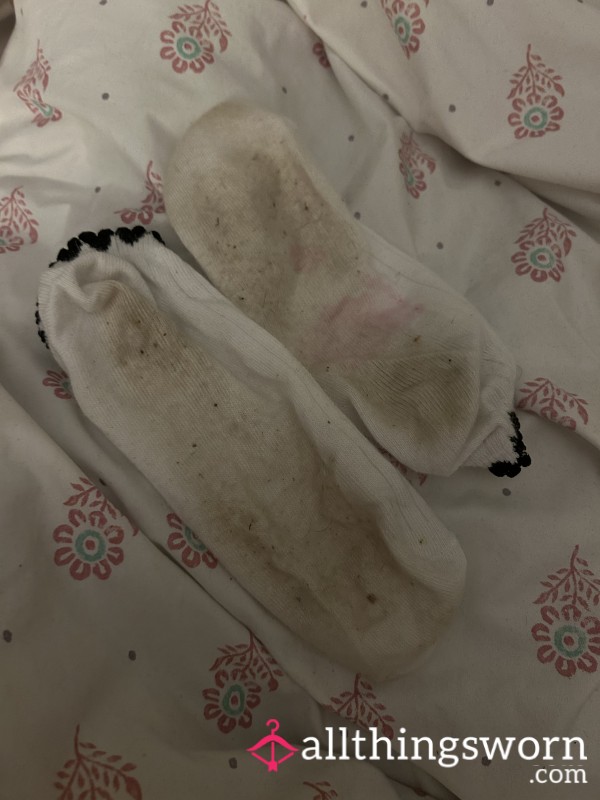 12hr Worn On A Dog Walk