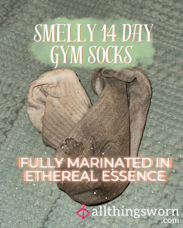 14 Day Enchanted Ankle Socks - Dirty Divine Gym Sock Devotion
