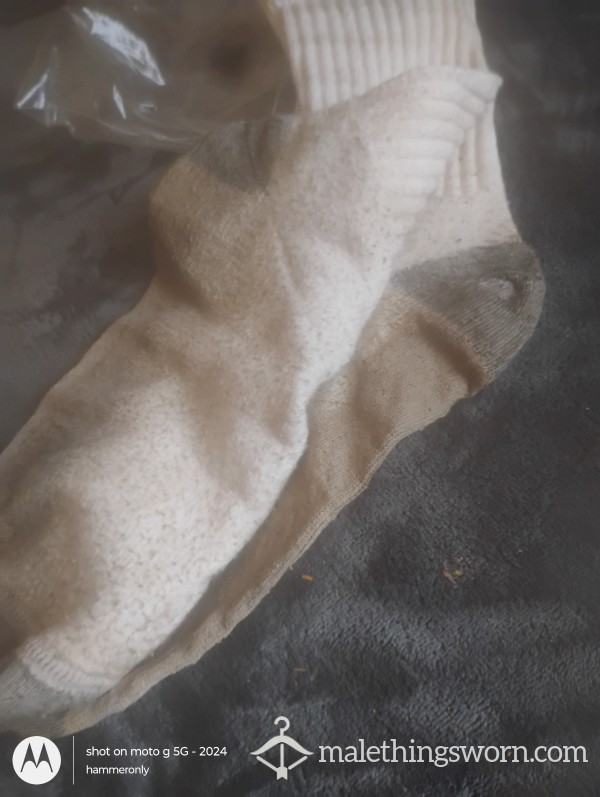 15 Day Wear White  Tube Socks