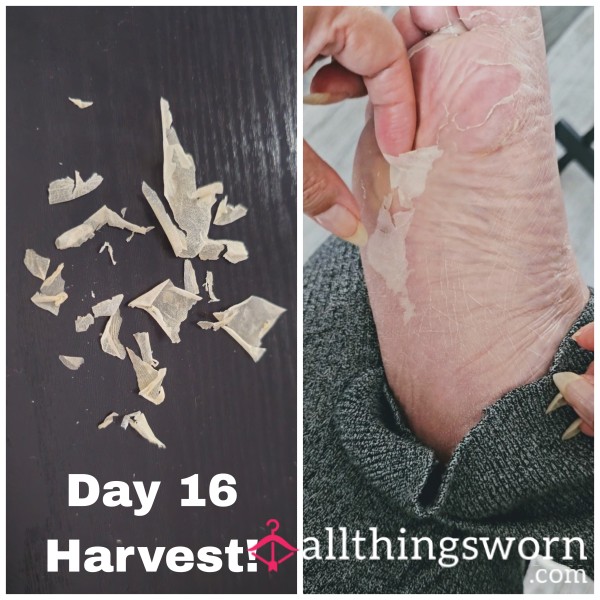 15min Feet P**l Harvest 🦶🧀