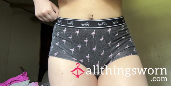19 Y/o’s Vs Pink Flamingo Boyshort Panties