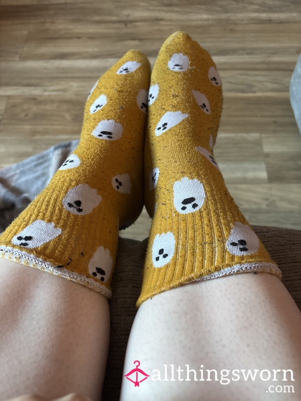2 Day Wear Socks With Fresh Pedicure