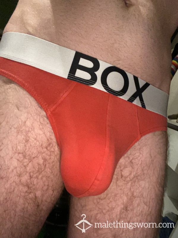 2 Day Work Briefs