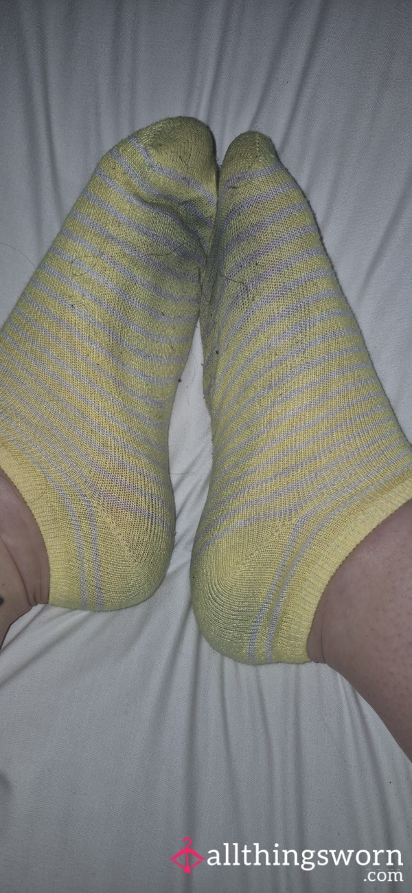 2 Days Wear Holiday Ankle Socks