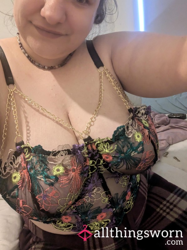 2 Premade Videos And 10 Pics