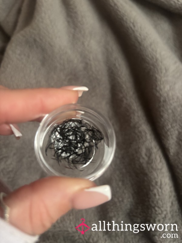 2 Week Old Eyelashes