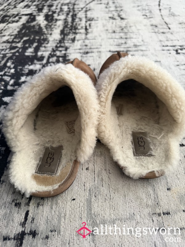 2-Year Worn Ugg Slippers • Well-Loved & Pungent