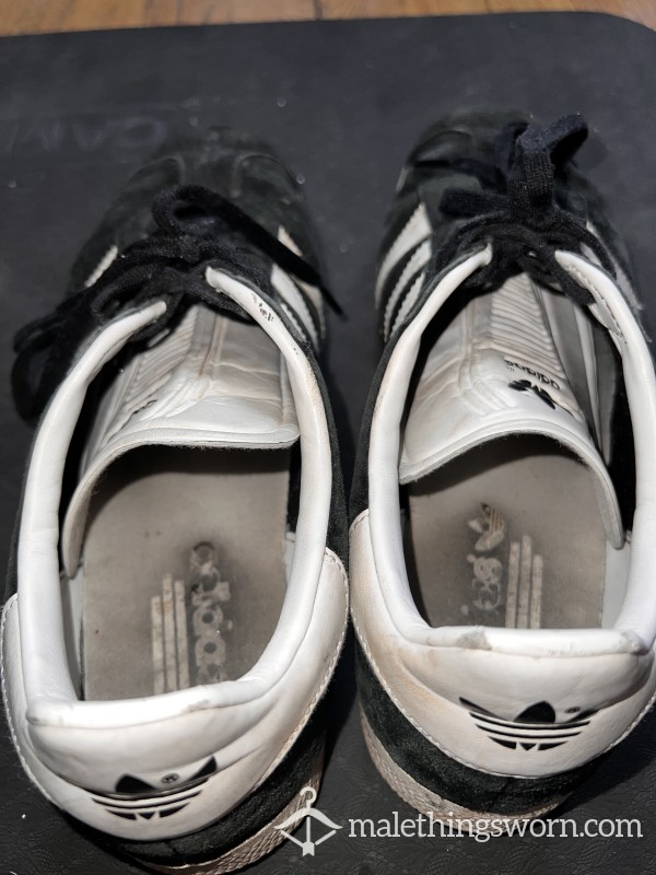 (2018) Gym Shoes Pre/Post College