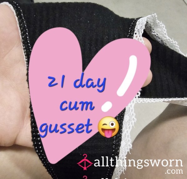 21 Day Same C*m Gusset Folder