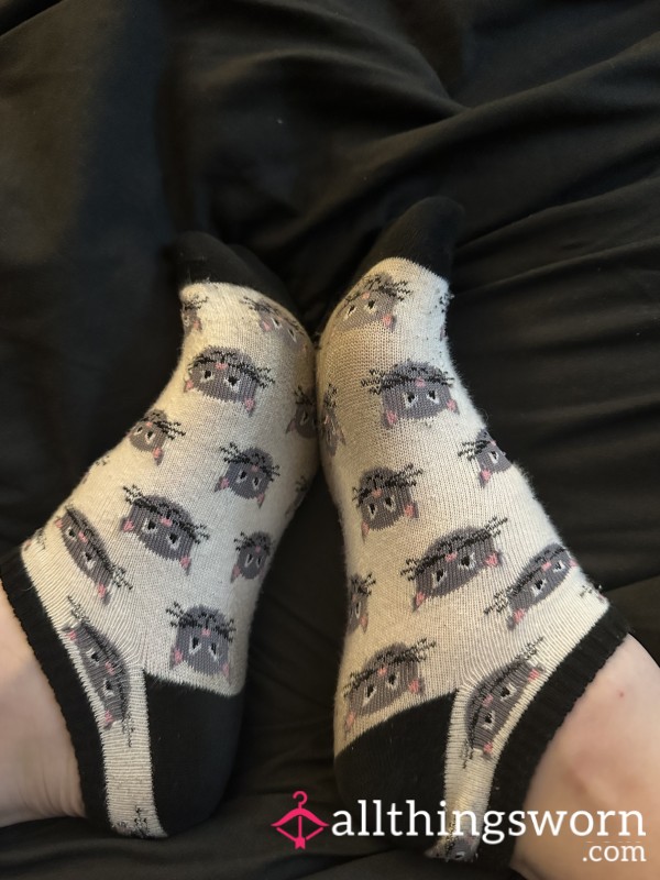 24+ Hour Worn Cute, Thin Cat Face Socks