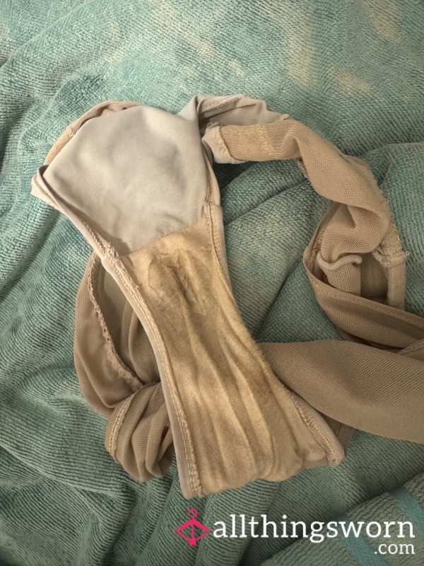 24 Hour Worn Panties