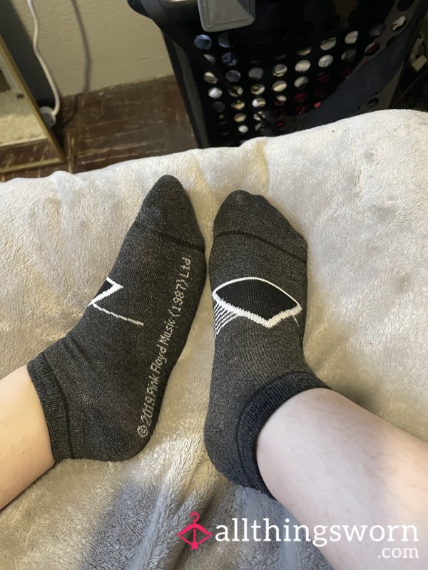 24 Hour Worn Pink Floyd Ankle Socks Gray