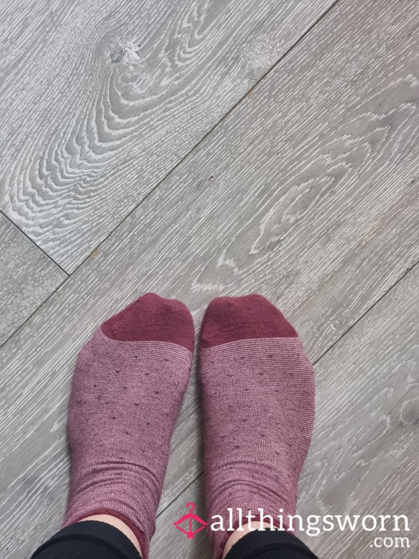 24 Hour Worn Socks
