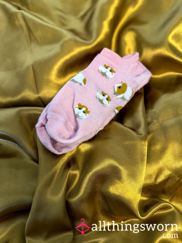 24hr Worn Socks