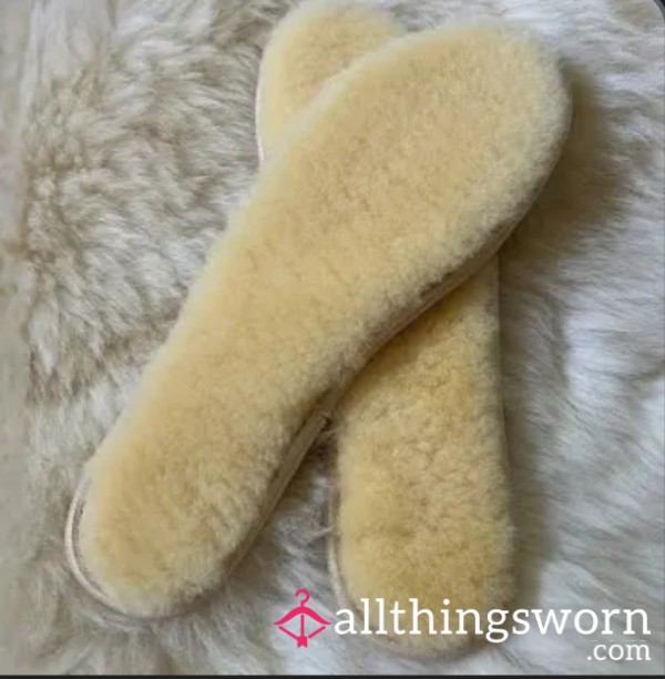 24hrs Ugg Insole