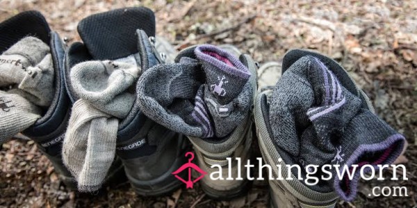 3 Day Dog Walking Old Socks