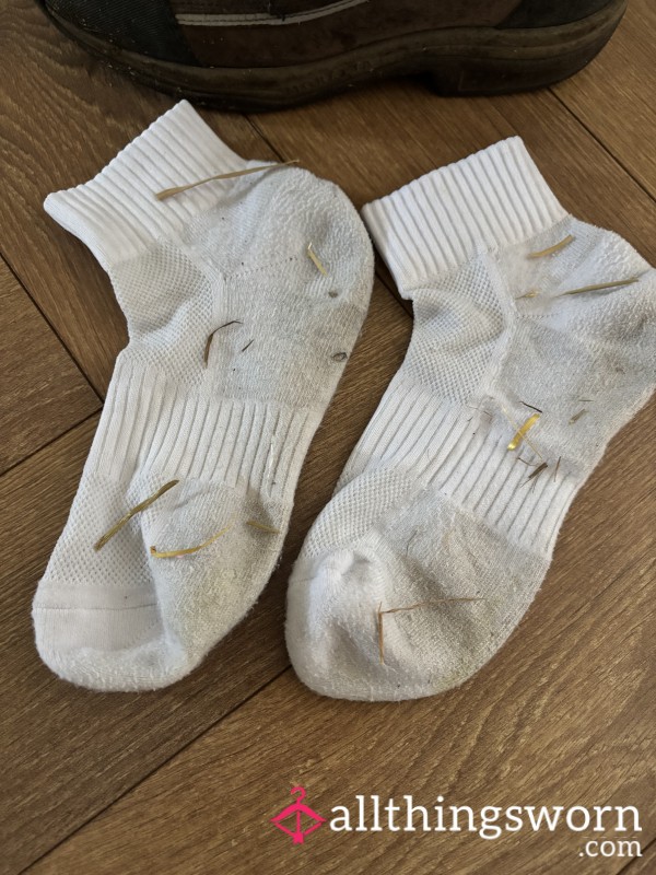 3-Day Equestrian Sock Tease 🐴🔥 White Riding Socks, Sweaty, Straw-Kissed & Naughty 😉