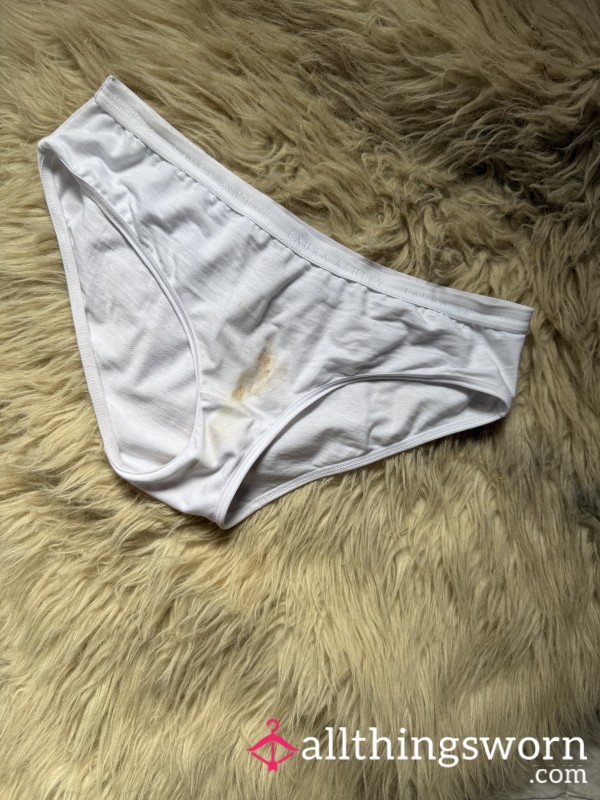 3 Day Worn Cotton Bikini Cut Panties