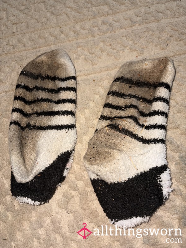 3 Day Worn Fuzzy Socks