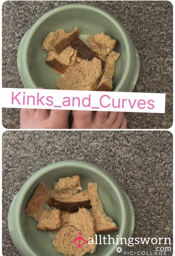 3 Dog Bowl Food Clips