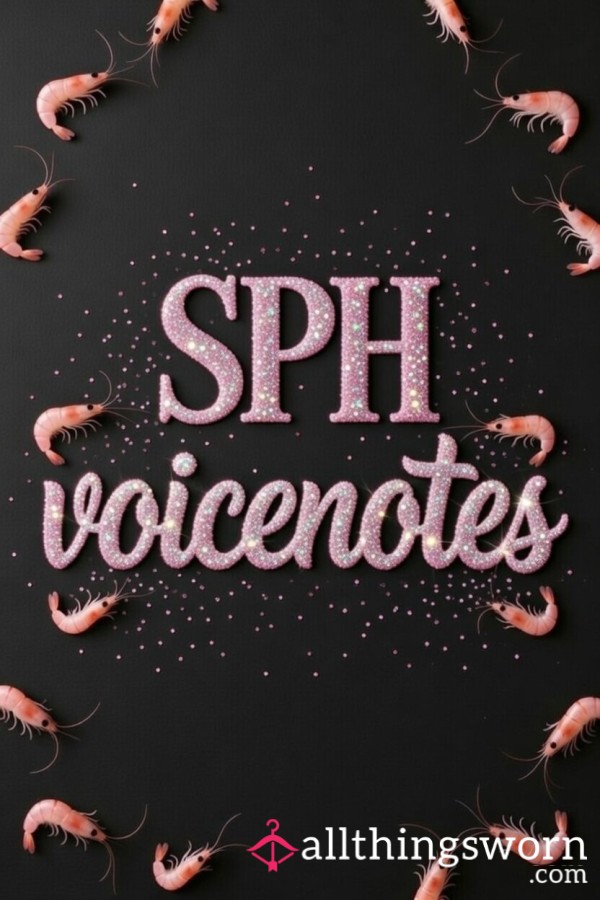 🍤  3 Minute SPH Voice Notes 🍤