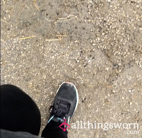 🐎 3-Minute Stable Walk In My Sketchers