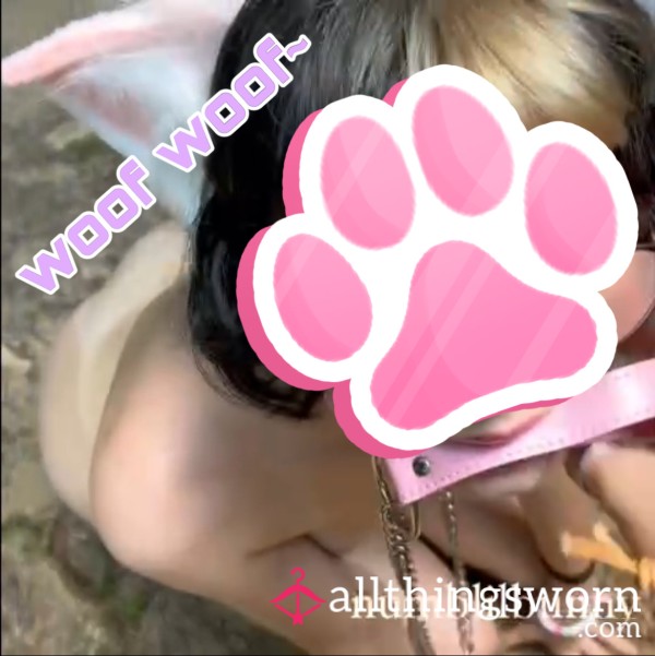 3 Minutes Of Outdoor Puppy Play…