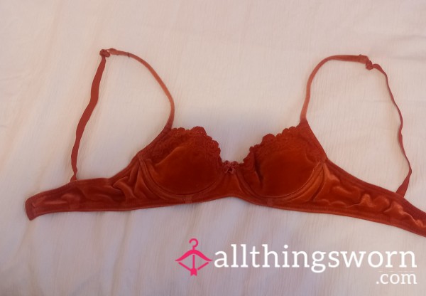 Owned By Couga Katie For 15years, 32b Red Velvet Bra