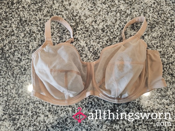 32J Bra