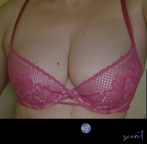 34B Bra Wear