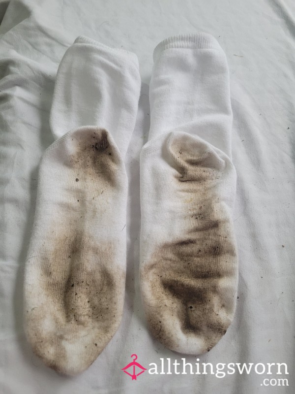 36 Hrs Of Pure Flith