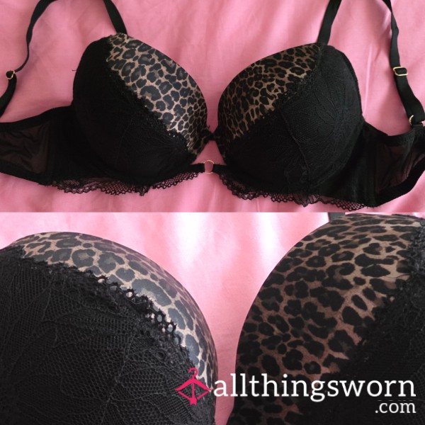 36DD Well Worn Leopard Extreme Push Up Thick Padded Bra (matching Thong Available On Request)