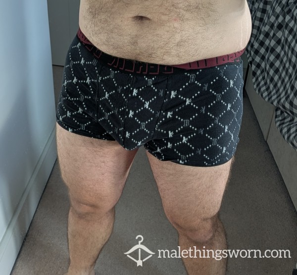 3x Well-Worn Underwear Bundle - Runner Bear/Cub 🐻
