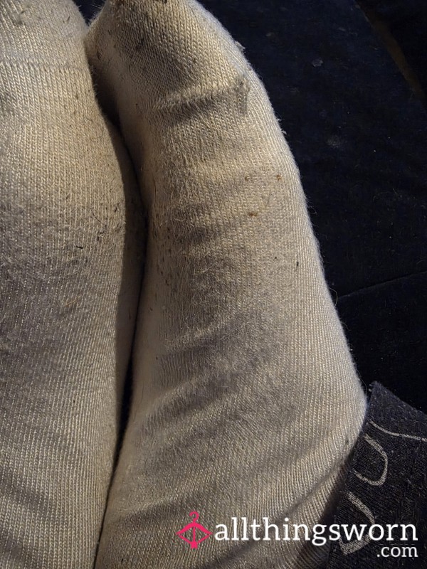 4 Day Wear, White Trainer Socks