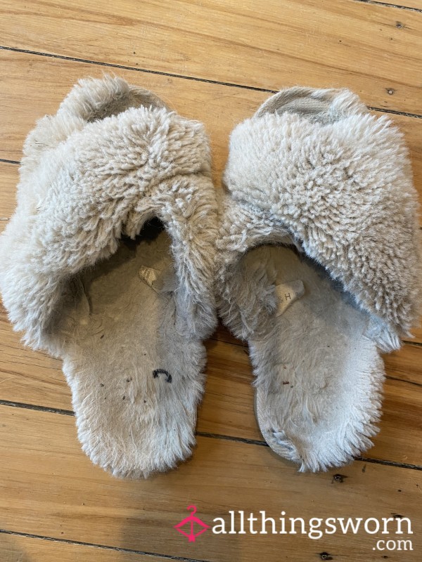 4 Year Old, Worn Every Day Slippers